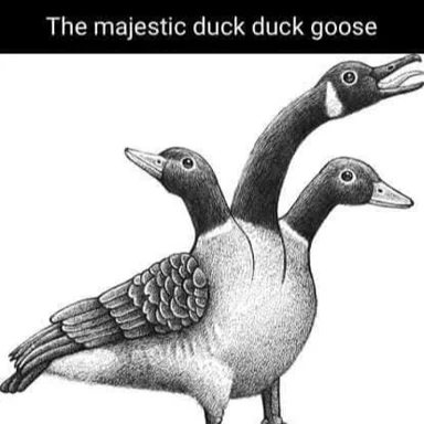 Author thumbnail