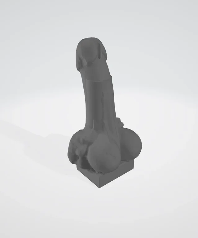 Release image