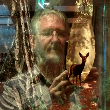 Author thumbnail