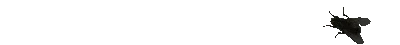 Release image